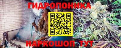 гидра Кизилюрт